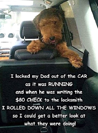 dog locks dad.jpg